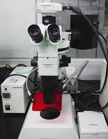 Fluorescent objective microscope