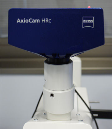 CCD Color Digital Camera System